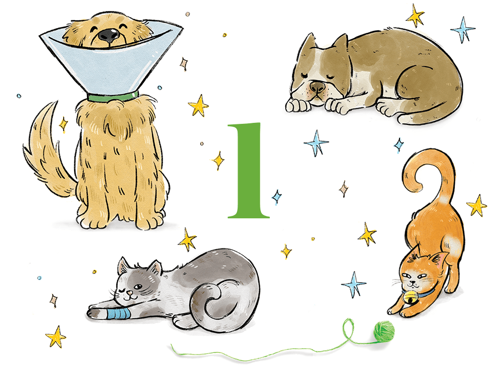 Four illustrations of animals: a dog in a cone collar, a sleeping dog, a cat with a bandaged paw, and a cat crouched as it prepares to pounce on a ball of yarn. A stylized numeral 1 is in the middle.
