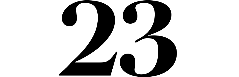 A stylized numeral 23.