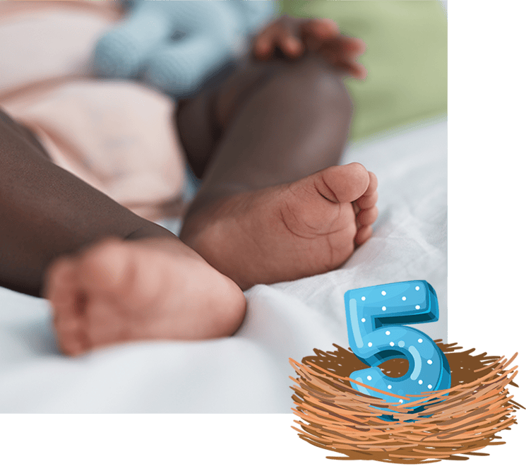 A baby rests on a blanket with their tiny feet in focus. A polka-dotted numeral 5 sits in a nest in the foreground.
