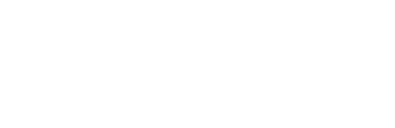 A stylized numeral 11.