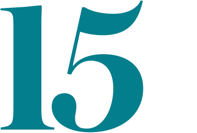 A stylized numeral 15.