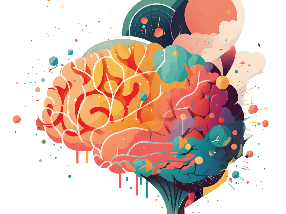 A multicolored illustration of a human brain.
