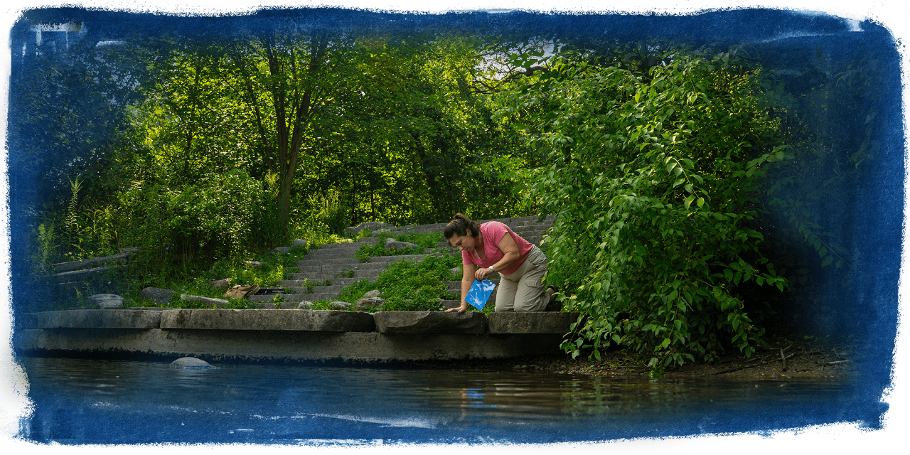 A person in a pink shirt and khaki pants kneels beside the Huron River and pulls a blue piece of paper out of the water. 