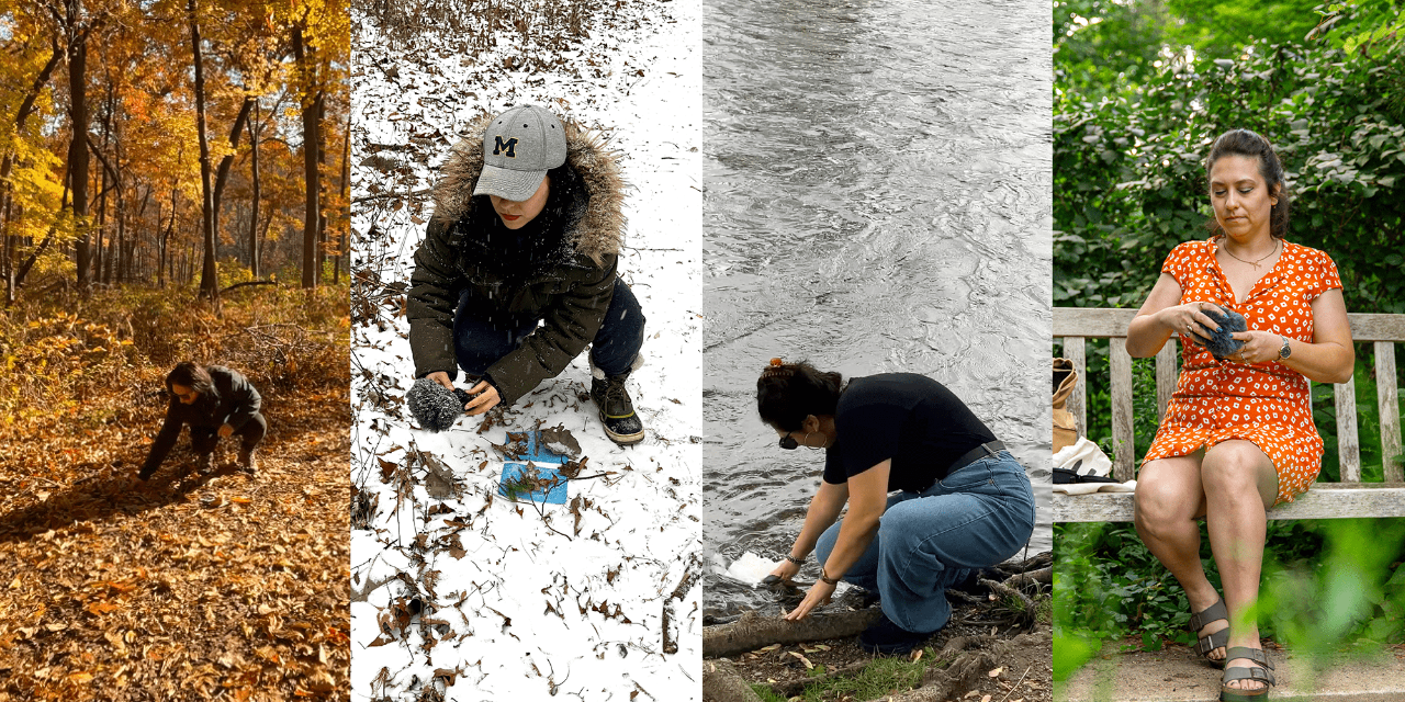 Four images that depict a person in the Arb from left to right, during fall, winter, spring, and summer. 
