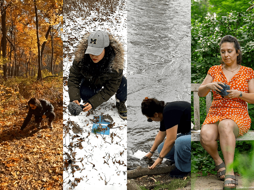 Four images that depict a person in the Arb from left to right, during fall, winter, spring, and summer. 