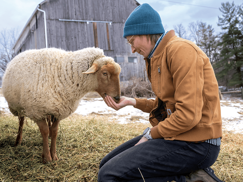 A person wearing a knit hat and jacket kneels and feeds a sheep from her hand against the backdrop of a gray barn.