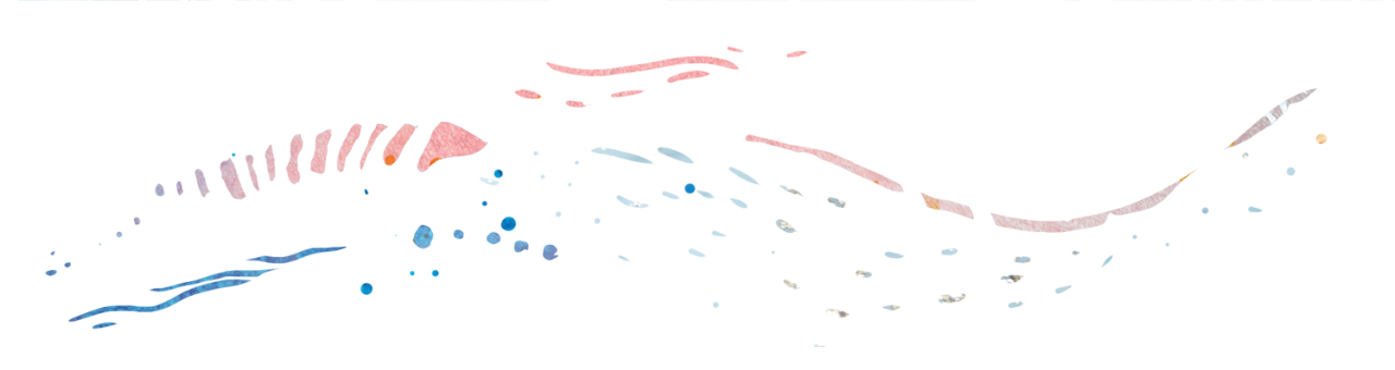 An illustration of pink and blue wavy lines and circles.