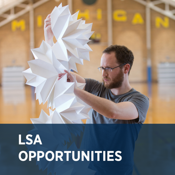 LSA Opportunities
