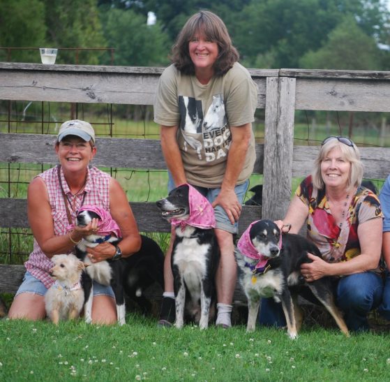 Robin Queen with Border Collies