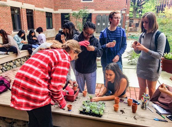 students potting small succulent plants in East Quad Garden