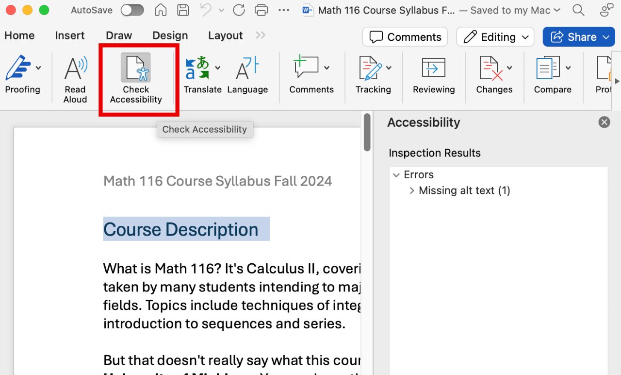 Screenshot of Google Docs Accessibility Checker