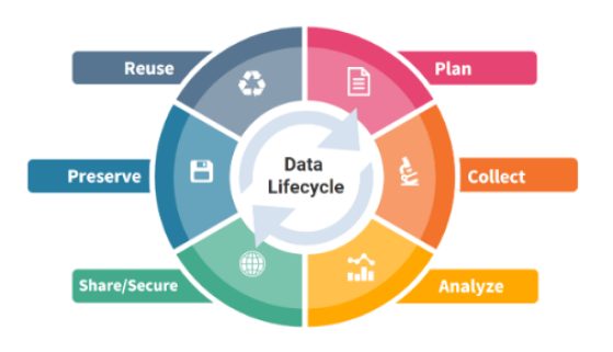 Graphic of the data lifecycle in a circle with spokes labeled Plan, Collect, Analyze, Share/Secure, Preserve, and Reuse