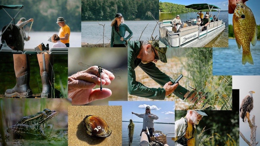 Collage of outdoor photos featuring people, fish, plants and animals