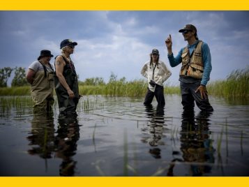 People wearing waders and standing in knee-height water