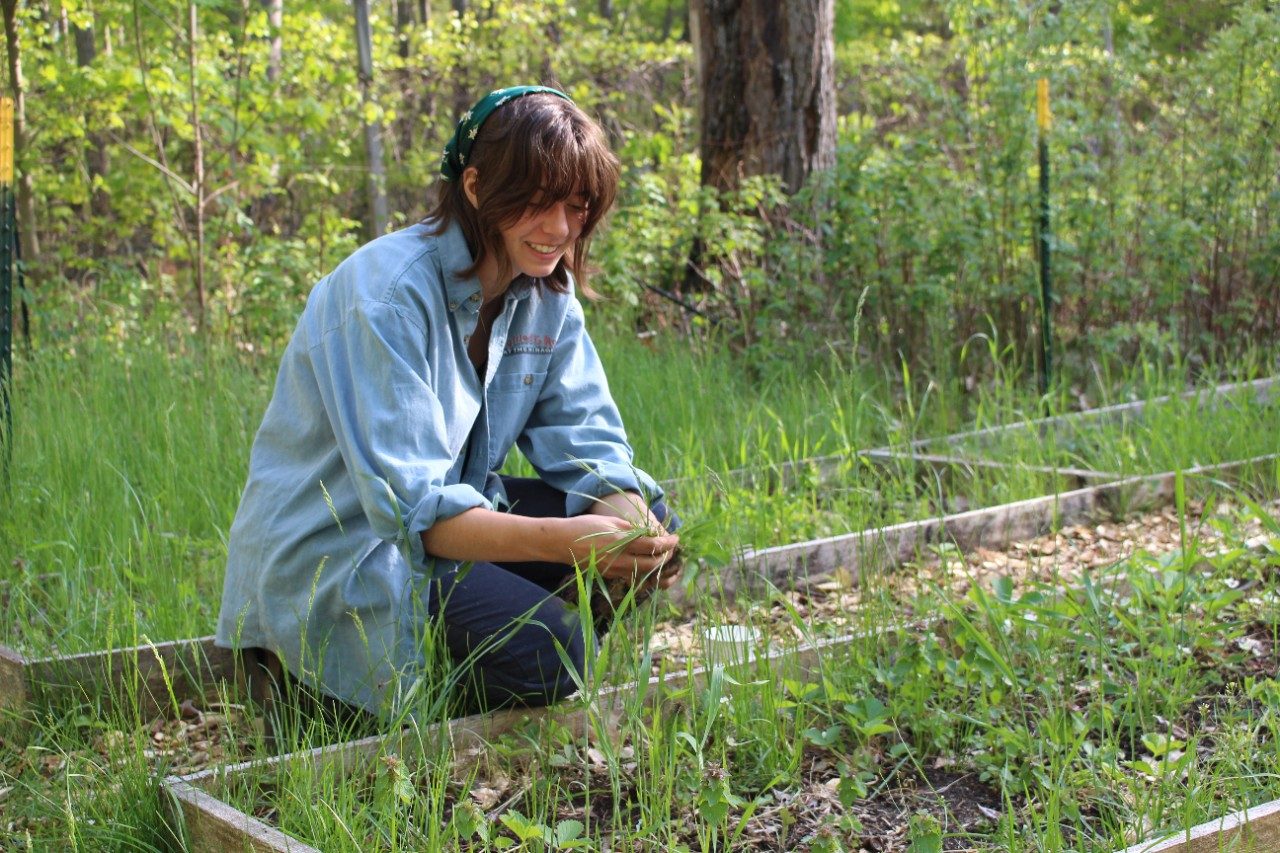 Woman weeding a garden bed