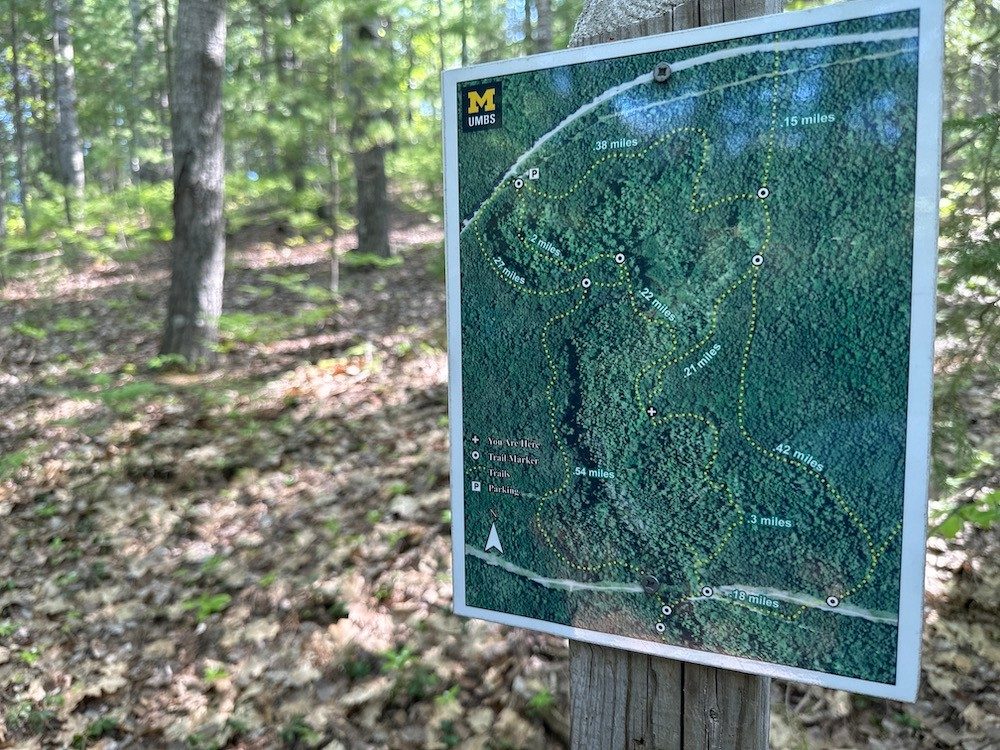 Trail map posted on tree in forest