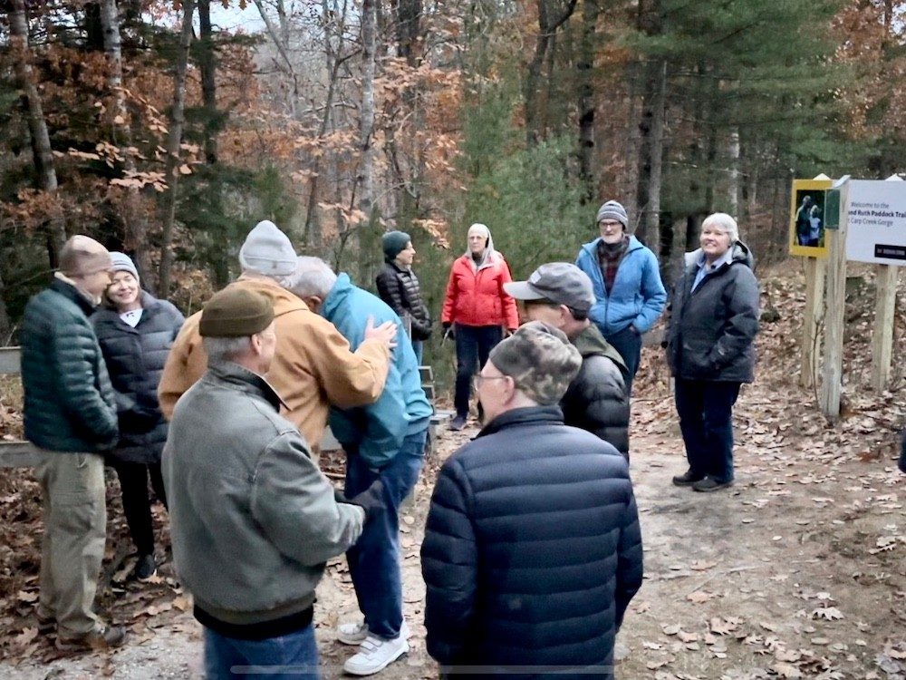 Group in forest