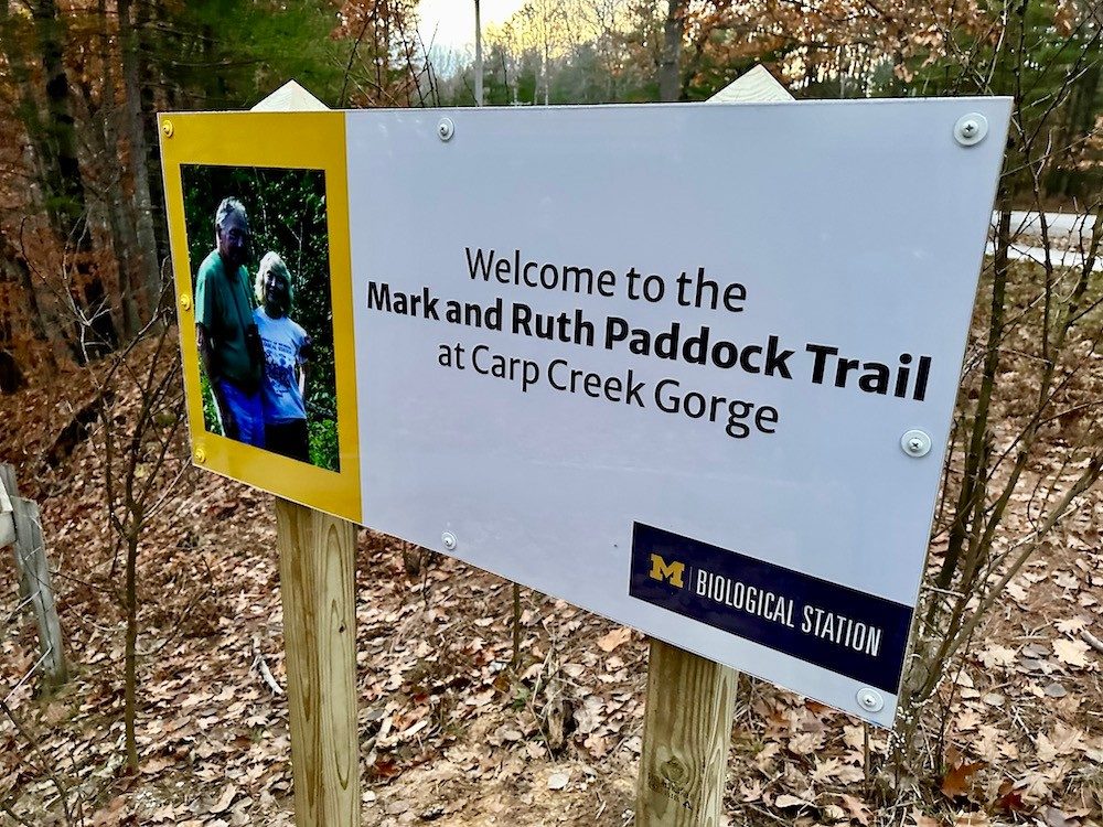 Sign in forest