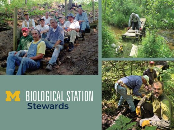 Photos of people working on forest hiking trails