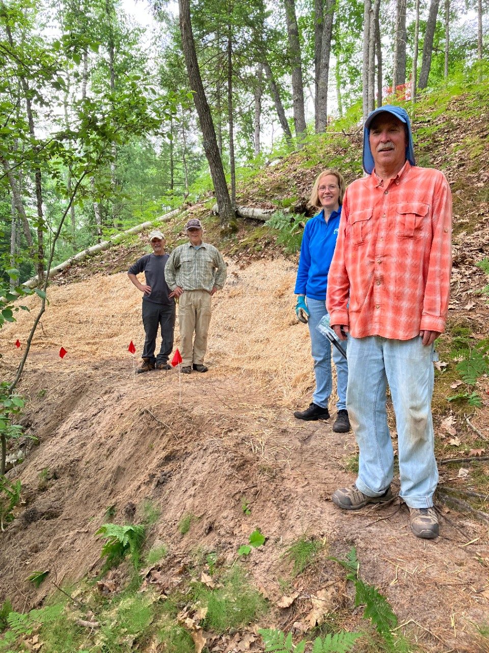 People standing on a sand dune in a forest