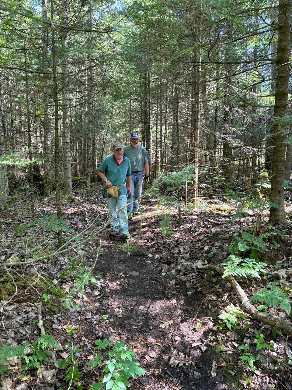 Two men walkimg through a forest