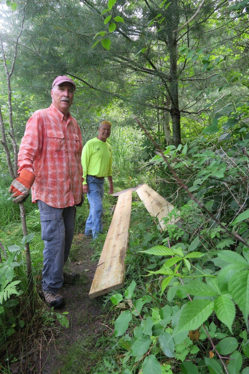 Two men working in a forest