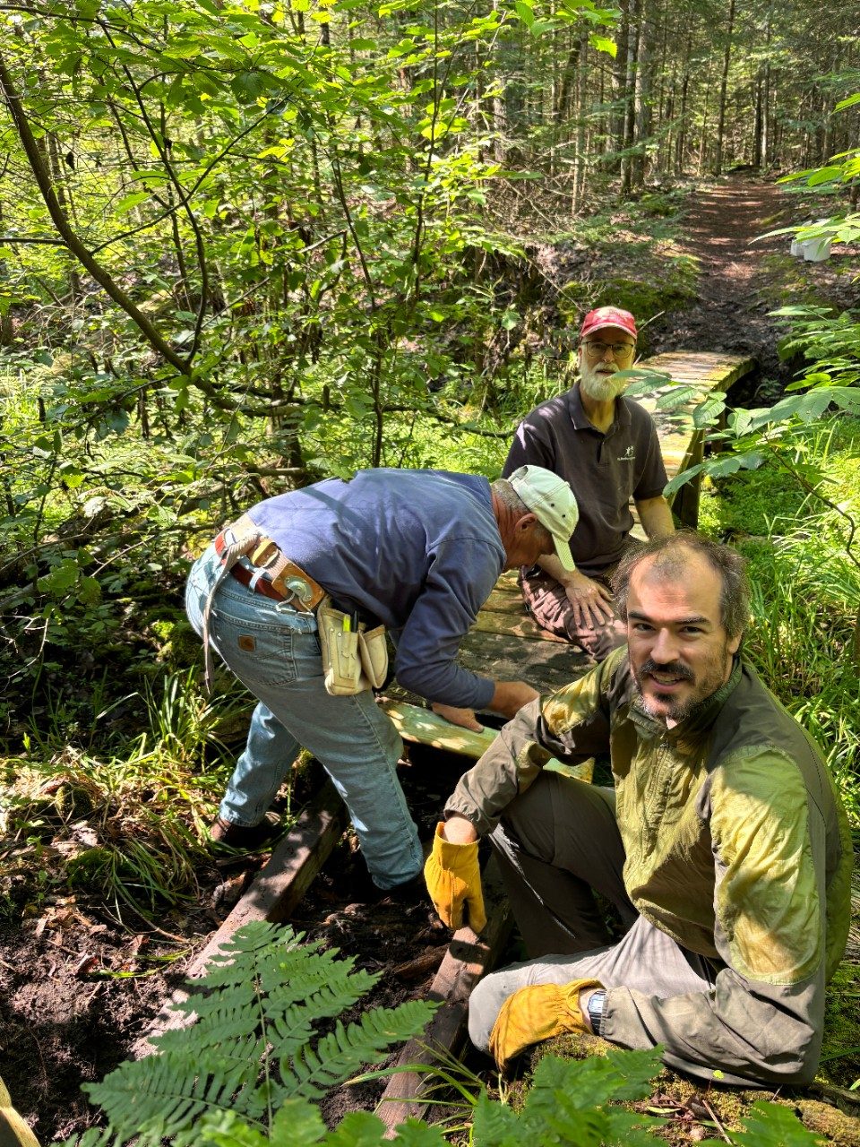 Men working on a wooded trail in a forest