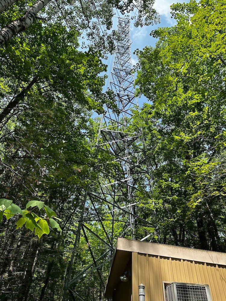 Tower in the woods