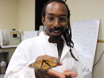 Person holding butterfly