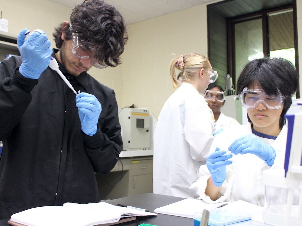 Two people in a lab using scientific instruments