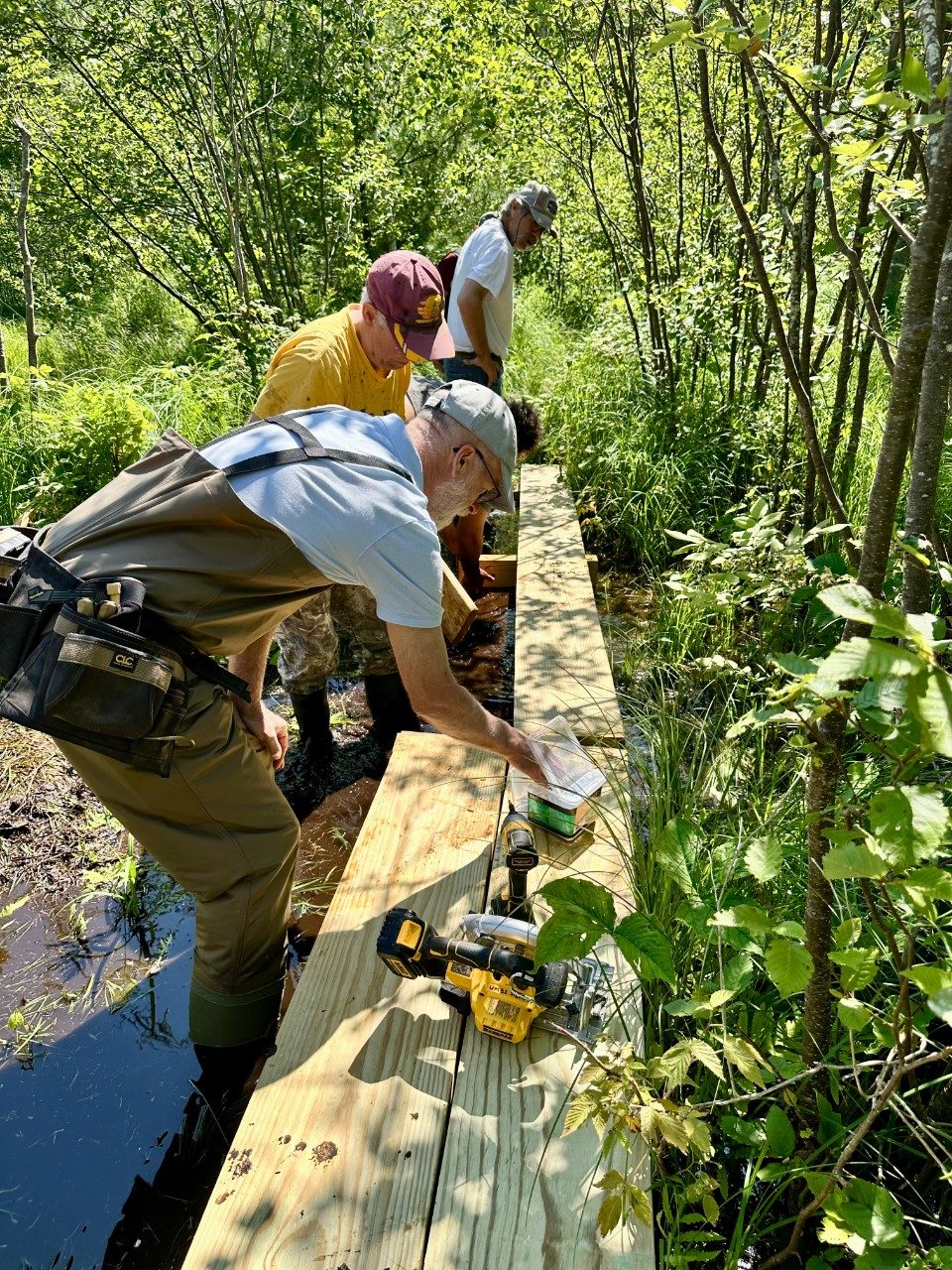 People working on a boardwalk over a small creek