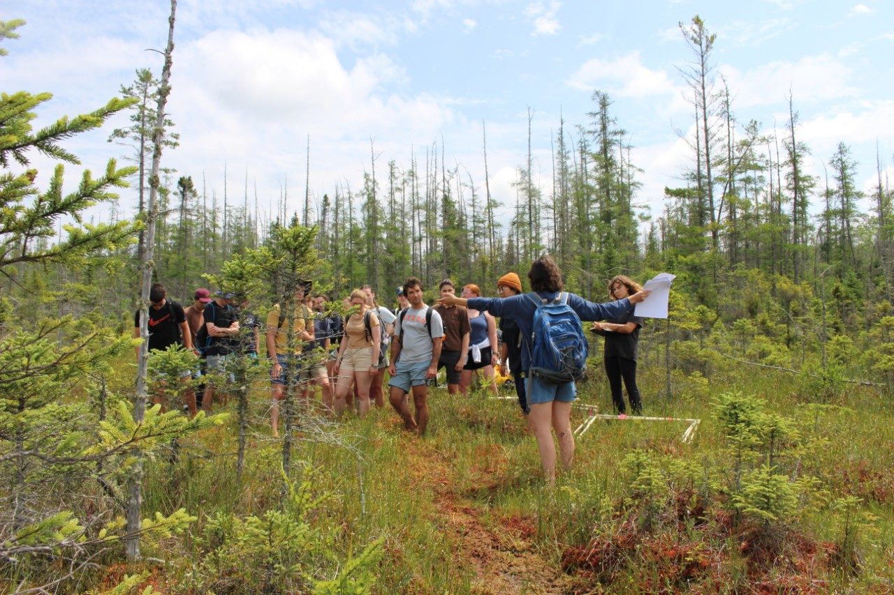 Person in a forest clearing with a group of people