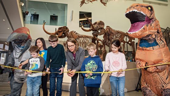 What Makes the New Museum Amazing
