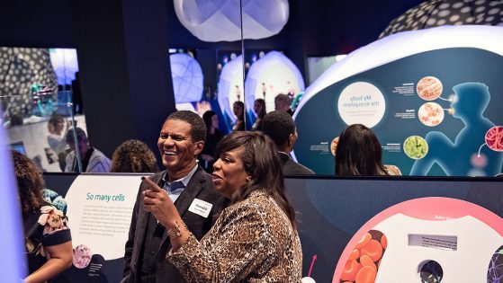 The Entire Museum is Now Open!