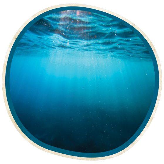 Under the sea