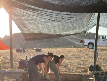 Students working on excavations.