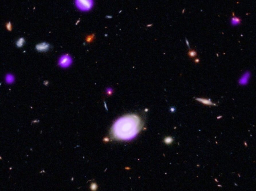 Why black holes hit the brakes on growth 