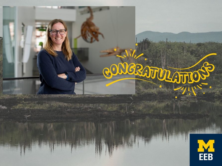 Kudos to EEB Professor Meghan Duffy for being named Arthur F. Thurnau Professor! 