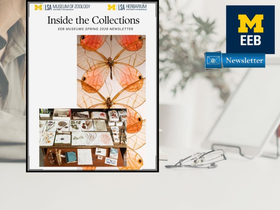 EEB Museums Spring 2026 Newsletter: Inside the Collections 