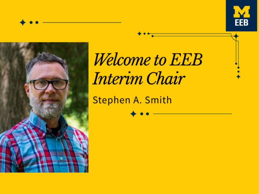 The Department of Ecology and Evolutionary Biology extends a warm welcome to its interim chair, Professor Stephen A. Smith.  