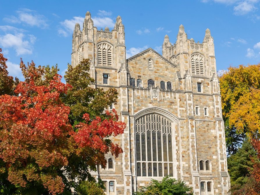 The University of Michigan Law Library