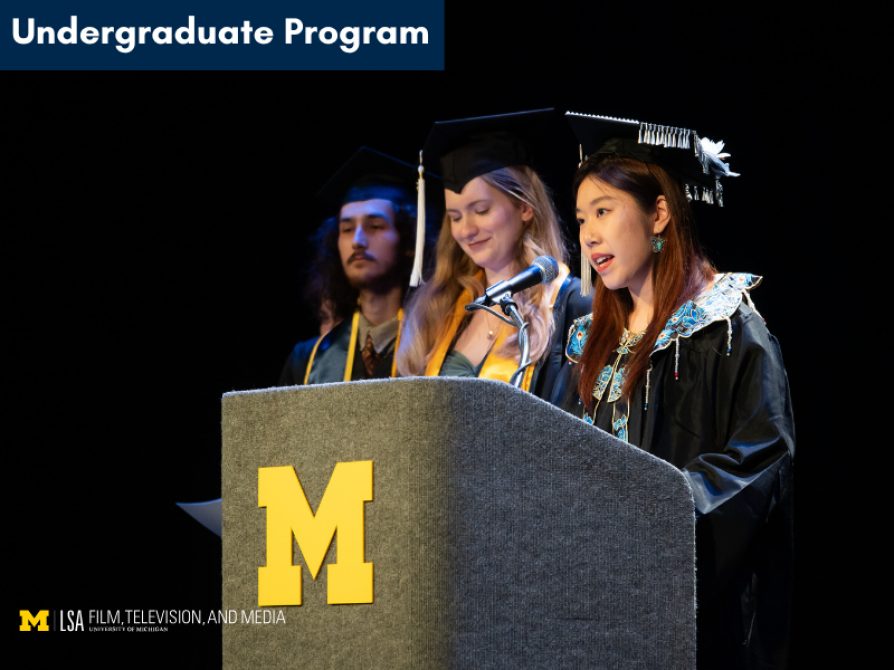 Undergraduate Program 