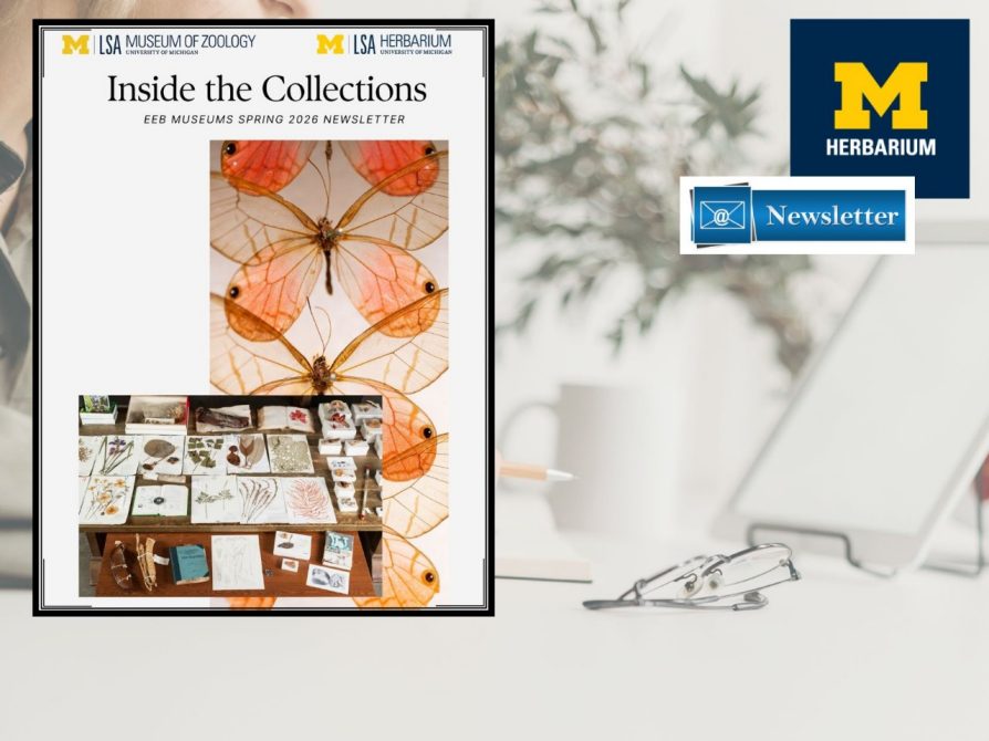 EEB Museums Spring 2026 Newsletter: Inside the Collections 