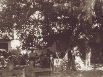 Men and boys sit at rows of wooden benches surrounded by buildings and shaded by a large tree.