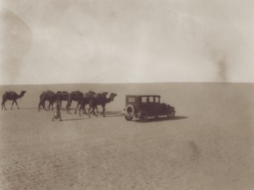 A 1924 sedan drives right across a desert landscape, flanked by a group of camels and a man walking.
