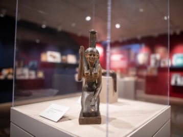 Randal Stegmeyer: Exposing the Past 