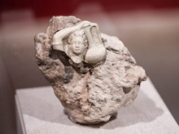 Randal Stegmeyer: Exposing the Past 