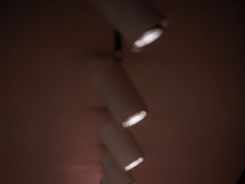 Randal Stegmeyer: Exposing the Past 