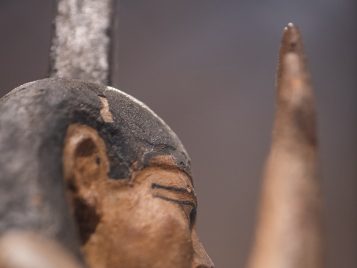 Randal Stegmeyer: Exposing the Past 