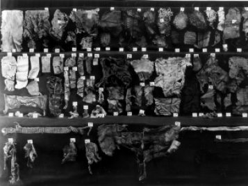 Archival photo showing the division of textile finds uncovered at Karanis, Egypt, in the early 20th century.